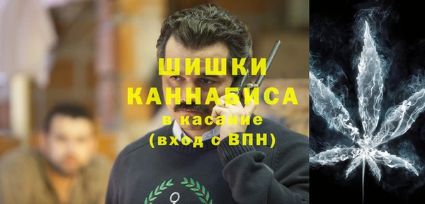 прущие грибы Богданович