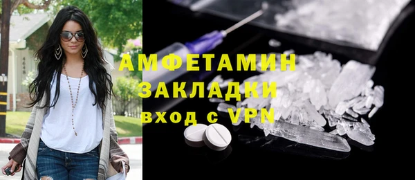 прущие грибы Богданович