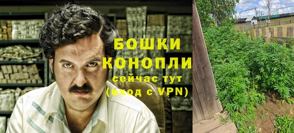 стаф Богородицк