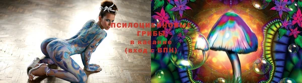 прущие грибы Богданович
