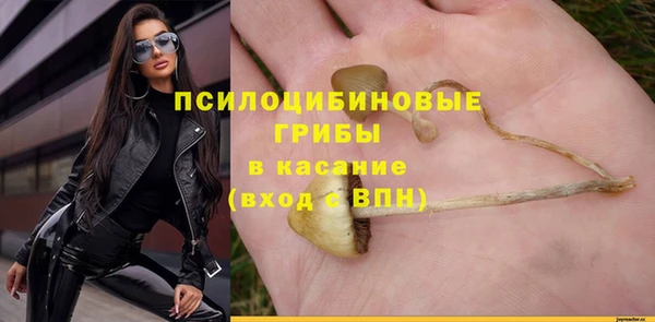прущие грибы Богданович