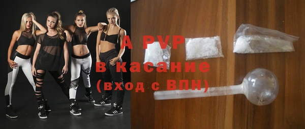 прущие грибы Богданович