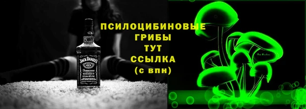 хмурый Богородск