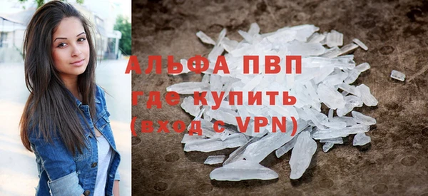 прущие грибы Богданович