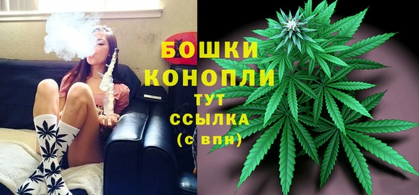 прущие грибы Богданович