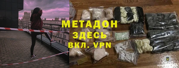 прущие грибы Богданович