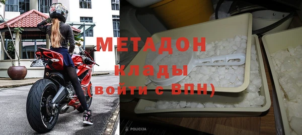 прущие грибы Богданович