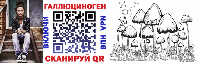 Галлюциногенные грибы Psilocybine cubensis  Оха 